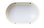 IP65 Cool White Bulkhead Wall Light For Outside Modern Decorative Lighting SAA CE TUV certfied تامین کننده