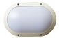 SMD Epistar Ceiling Mount Outdoor LED Wall Light White IK10 IP65 10W 20W 30W تامین کننده